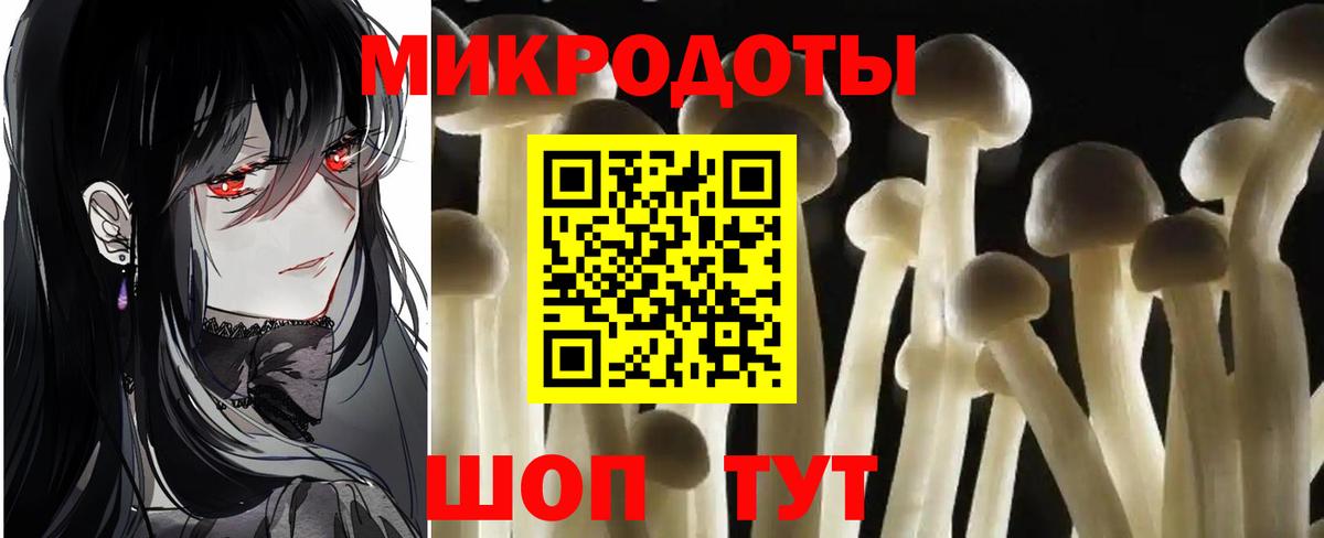 Минусинск  Псилоцибиновые грибы мухоморы  даркнет сайт  Вход с VPN 